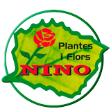 Plantes i Flors Nino